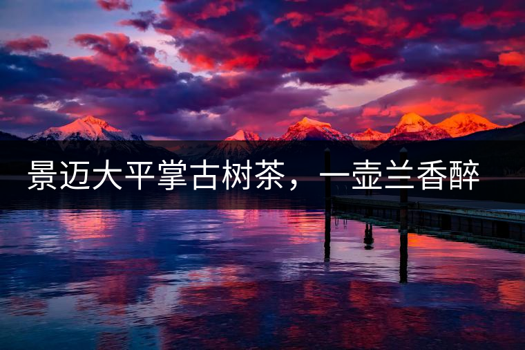 景邁大平掌古樹(shù)茶，一壺蘭香醉春秋