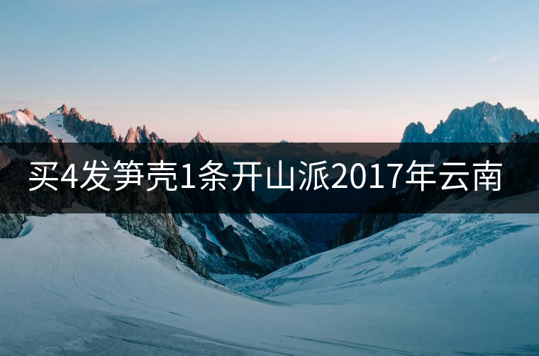 買(mǎi)4發(fā)筍殼1條開(kāi)山派2017年云南勐海熟沱緊壓 普洱茶熟茶沱100g