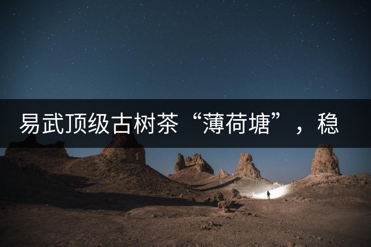 易武頂級古樹茶“薄荷塘”，穩(wěn)坐易武第一把交椅