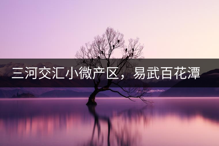 三河交匯小微產(chǎn)區(qū)，易武百花潭古茶園介紹