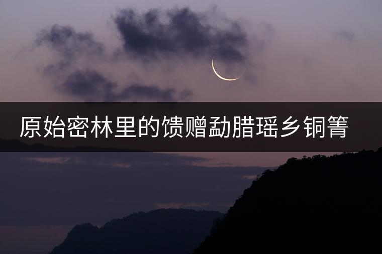 原始密林里的饋贈(zèng)勐臘瑤鄉(xiāng)銅箐河古樹茶