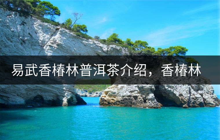 易武香椿林普洱茶介紹，香椿林古樹茶口感特點