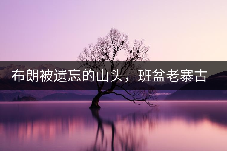 布朗被遺忘的山頭，班盆老寨古茶園介紹