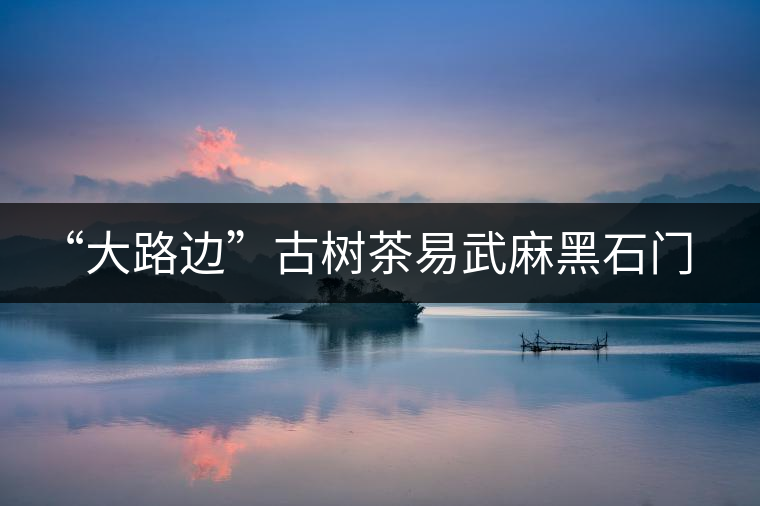 “大路邊”古樹茶易武麻黑石門坎你應(yīng)該了解的山頭
