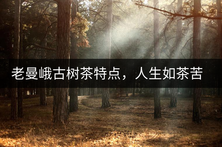 老曼峨古樹茶特點，人生如茶苦盡甘來