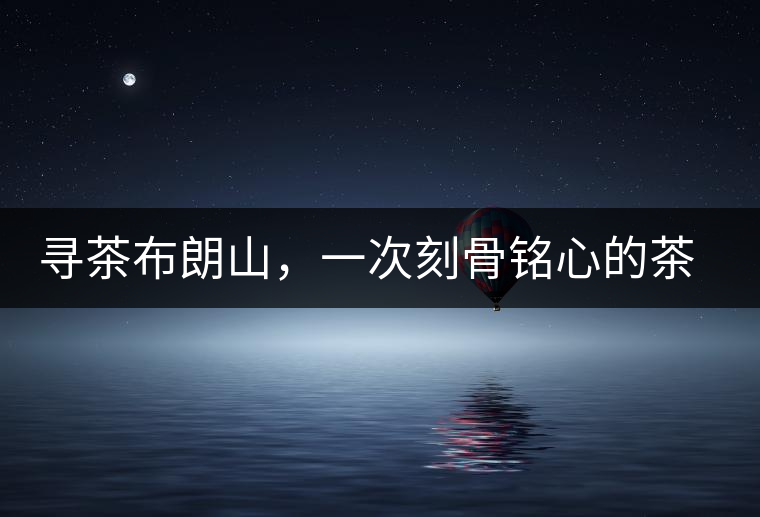 尋茶布朗山，一次刻骨銘心的茶山行