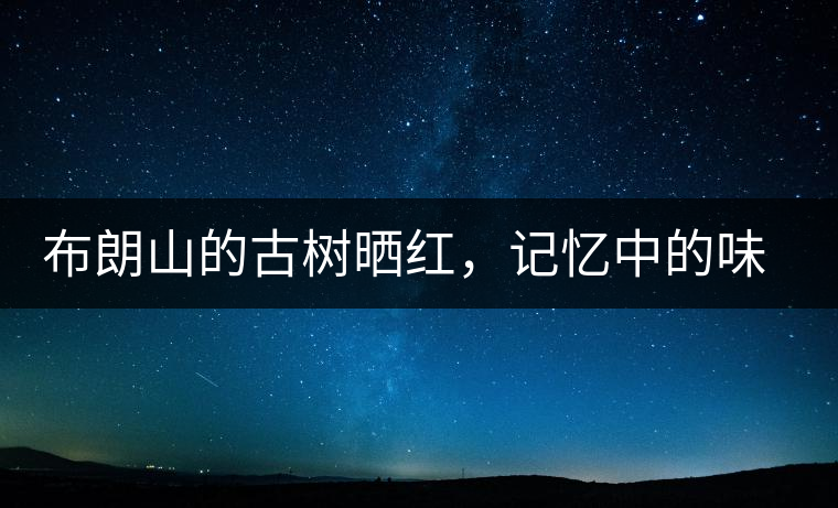 布朗山的古樹曬紅，記憶中的味道