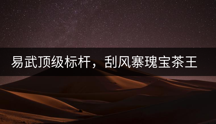 易武頂級(jí)標(biāo)桿，刮風(fēng)寨瑰寶茶王樹古樹茶