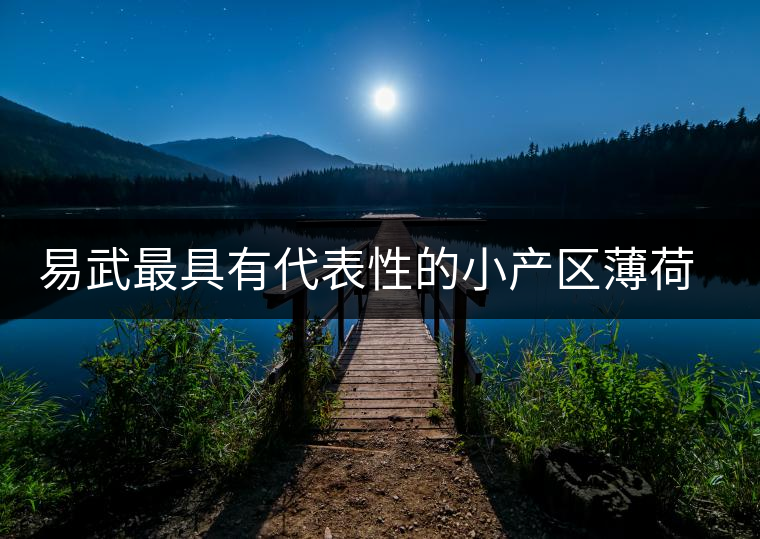 易武最具有代表性的小產(chǎn)區(qū)薄荷塘，一滴都不舍得浪費