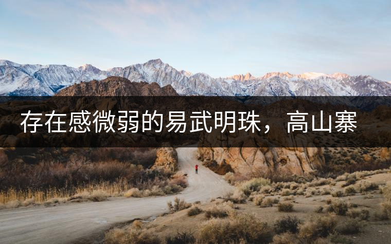 存在感微弱的易武明珠，高山寨古樹茶介紹