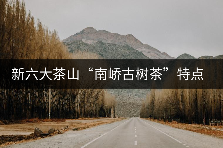 新六大茶山“南嶠古樹茶”特點(diǎn)介紹