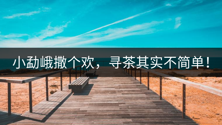 小勐峨撒個(gè)歡，尋茶其實(shí)不簡(jiǎn)單！