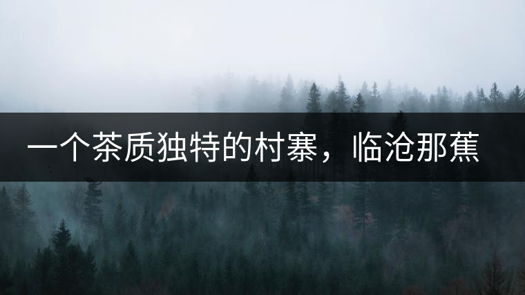 一個茶質(zhì)獨特的村寨，臨滄那蕉古樹茶介紹