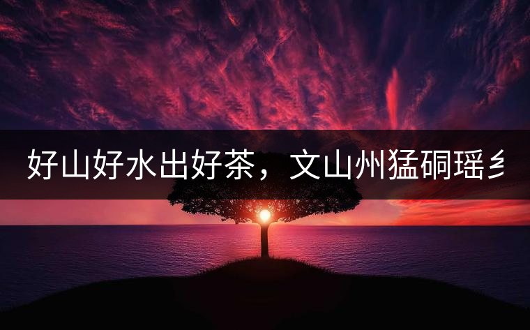 好山好水出好茶，文山州猛硐瑤鄉(xiāng)茶！