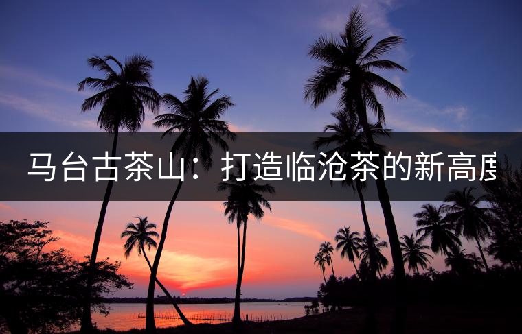 馬臺(tái)古茶山：打造臨滄茶的新高度？