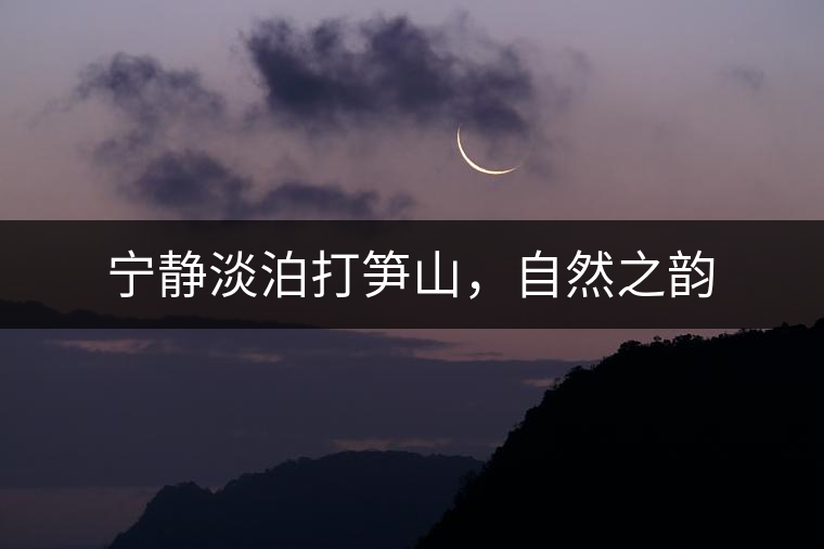 寧靜淡泊打筍山，自然之韻