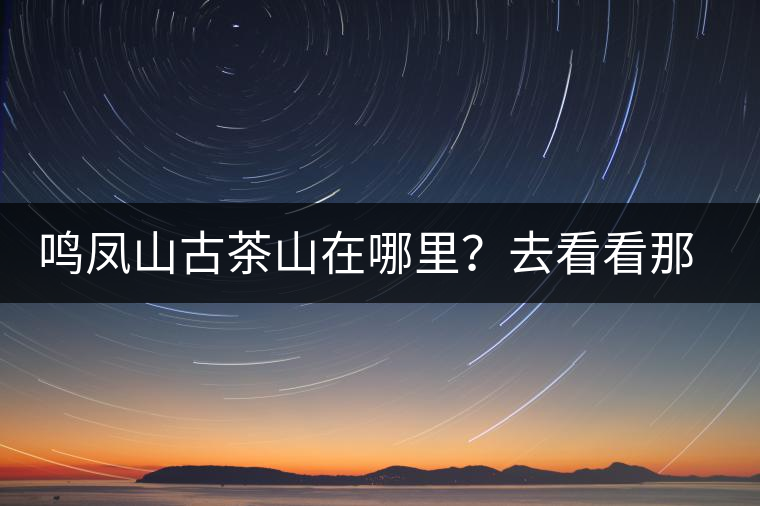 鳴鳳山古茶山在哪里？去看看那鳳凰曾經(jīng)落腳的地方
