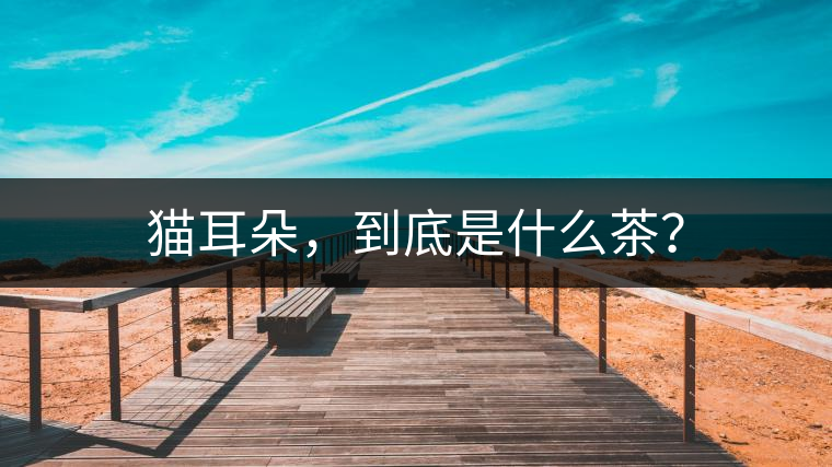 貓耳朵，到底是什么茶？