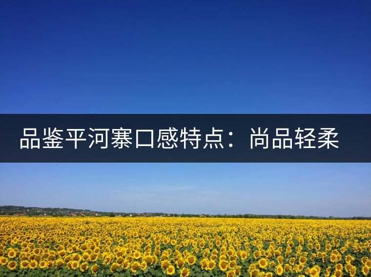 品鑒平河寨口感特點(diǎn)：尚品輕柔，清涼獨(dú)特