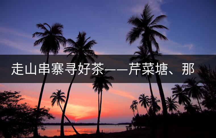 走山串寨尋好茶——芹菜塘、那罕、曼崗、昔歸