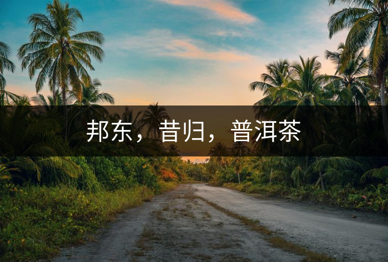 邦東，昔歸，普洱茶