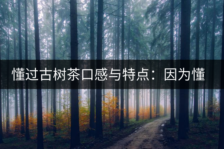 懂過古樹茶口感與特點：因為懂得，所以舍得用余生來珍惜！