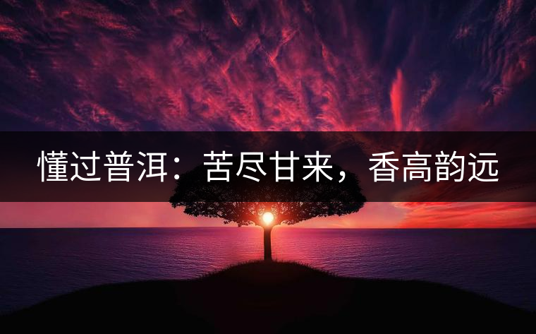 懂過普洱：苦盡甘來，香高韻遠