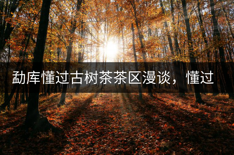 勐庫(kù)懂過(guò)古樹(shù)茶茶區(qū)漫談，懂過(guò)古樹(shù)茶的特點(diǎn)