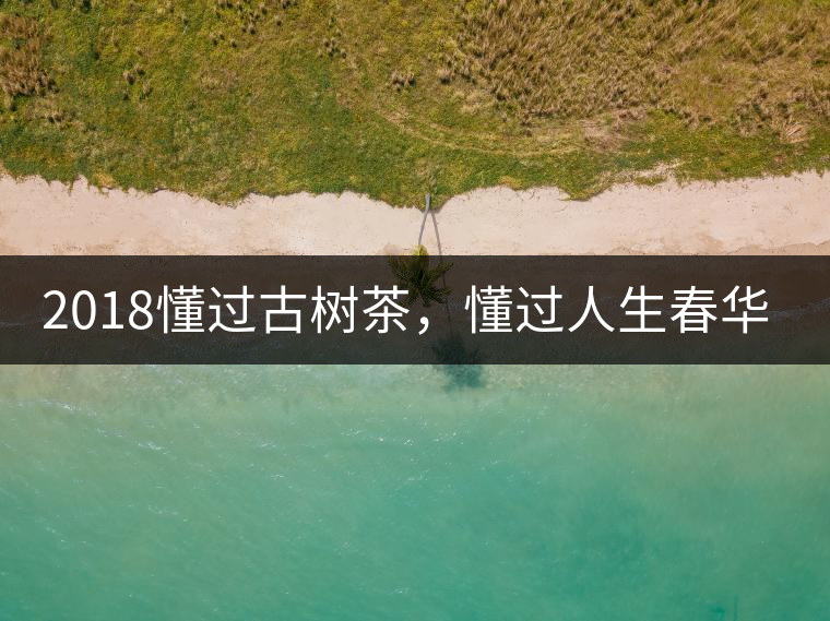 2018懂過(guò)古樹茶，懂過(guò)人生春華秋實(shí)！
