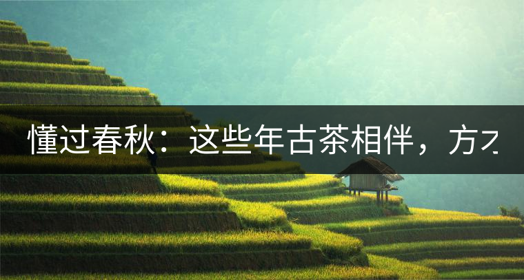 懂過春秋：這些年古茶相伴，方才懂過！