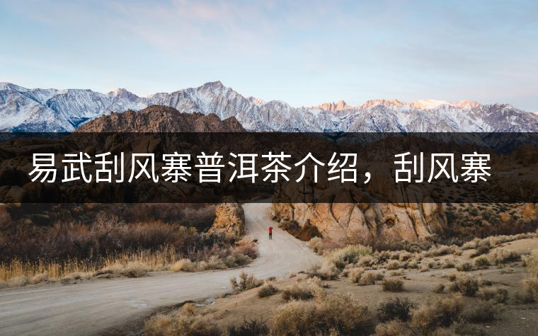 易武刮風(fēng)寨普洱茶介紹，刮風(fēng)寨古樹茶口感特點(diǎn)