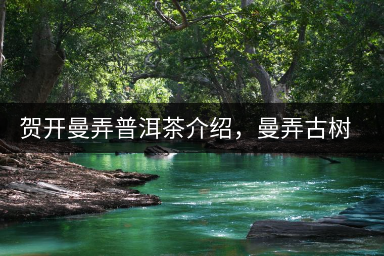 賀開曼弄普洱茶介紹，曼弄古樹茶口感特點(diǎn)