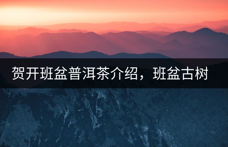 賀開班盆普洱茶介紹，班盆古樹茶口感特點(diǎn)