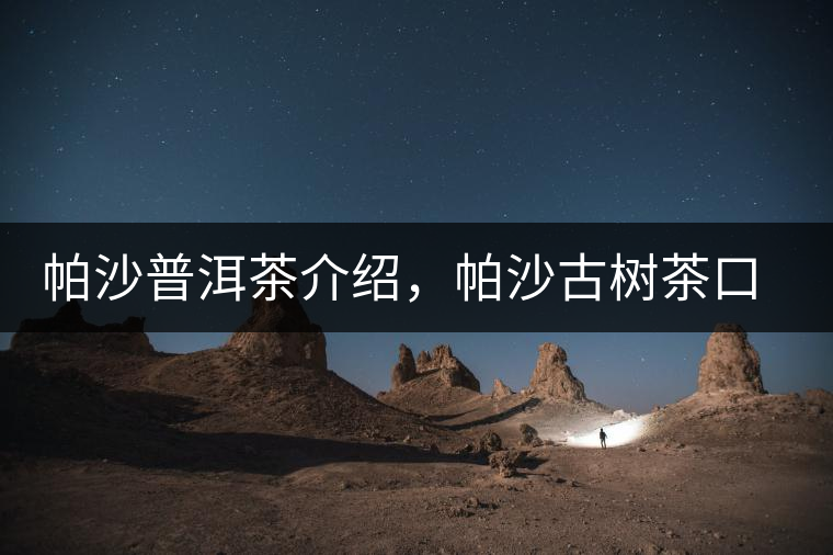 帕沙普洱茶介紹，帕沙古樹茶口感特點(diǎn)