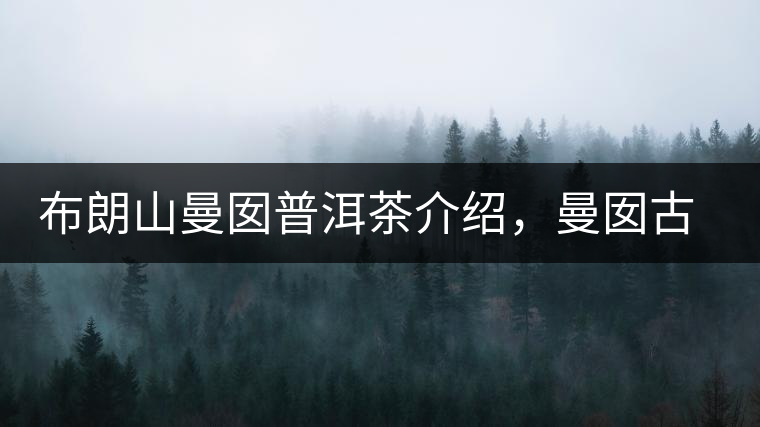 布朗山曼囡普洱茶介紹，曼囡古樹(shù)茶口感特點(diǎn)