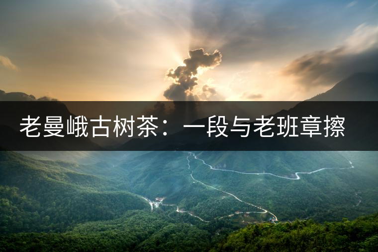 老曼峨古樹茶：一段與老班章擦肩而過的緣分