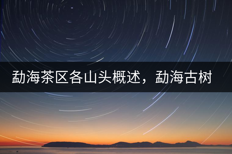 勐海茶區(qū)各山頭概述，勐海古樹(shù)茶口感特點(diǎn)