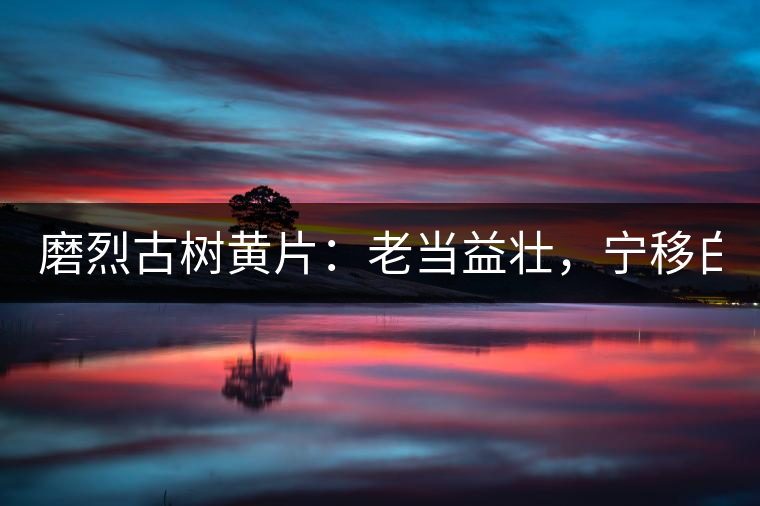 磨烈古樹黃片：老當(dāng)益壯，寧移白首之心！