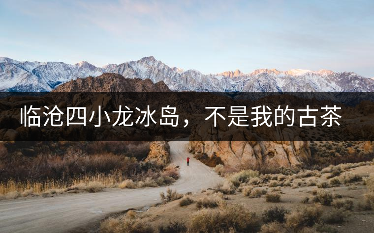 臨滄四小龍冰島，不是我的古茶夢(mèng)