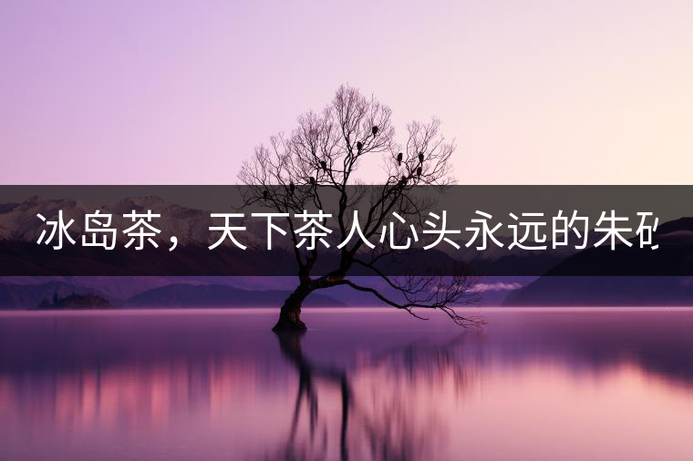 冰島茶，天下茶人心頭永遠(yuǎn)的朱砂痣！