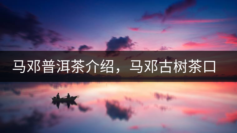 馬鄧普洱茶介紹，馬鄧古樹茶口感特點