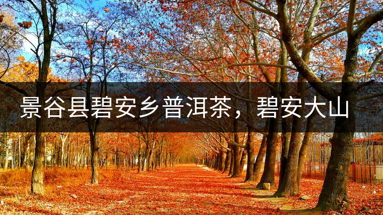 景谷縣碧安鄉(xiāng)普洱茶，碧安大山古樹茶口感特點(diǎn)