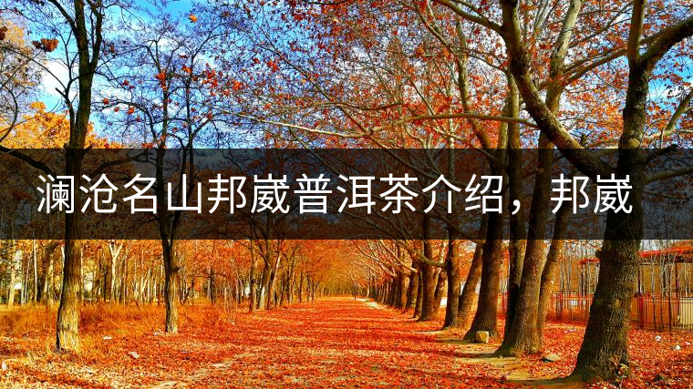 瀾滄名山邦崴普洱茶介紹，邦崴古樹(shù)茶口感特點(diǎn)