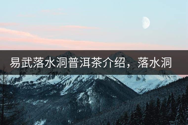 易武落水洞普洱茶介紹，落水洞古樹茶口感特點