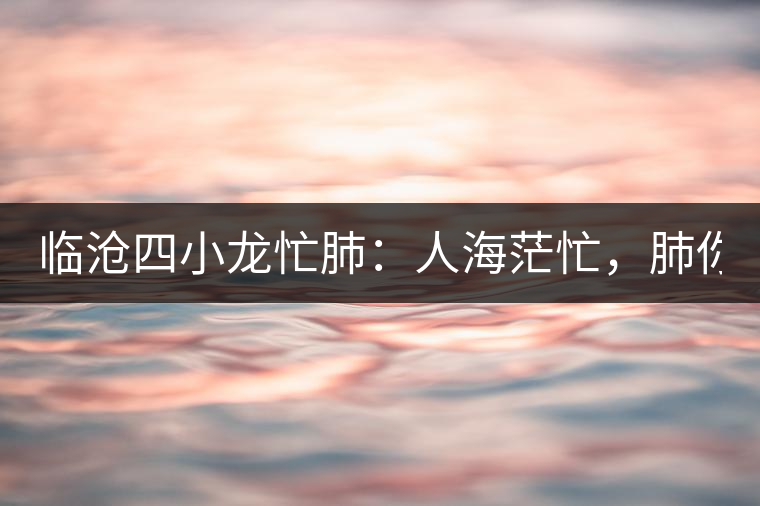 臨滄四小龍忙肺：人海茫忙，肺你莫屬！