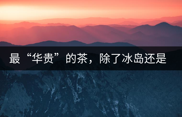 最“華貴”的茶，除了冰島還是冰島