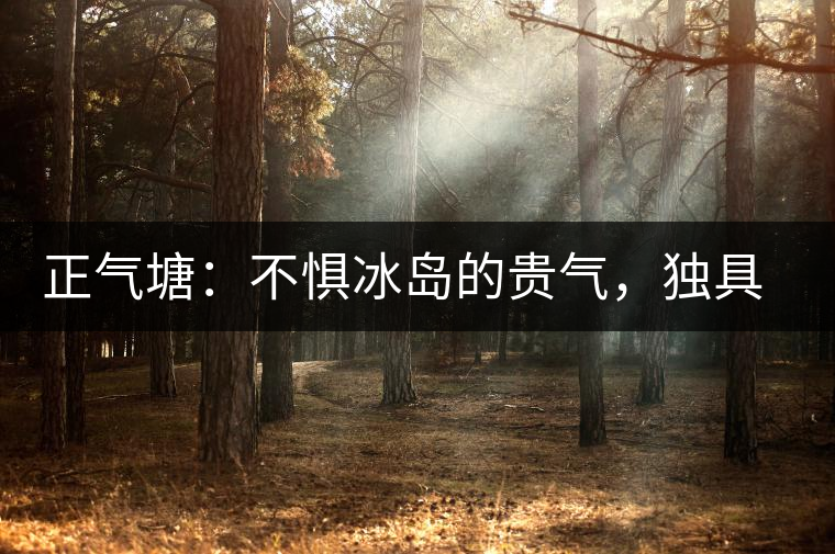 正氣塘：不懼冰島的貴氣，獨(dú)具冰島之魅力