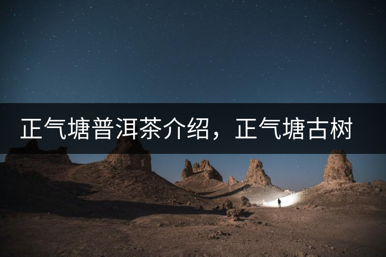 正氣塘普洱茶介紹，正氣塘古樹茶口感特點(diǎn)