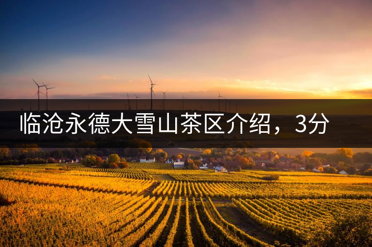 臨滄永德大雪山茶區(qū)介紹，3分鐘了解永德大雪山古樹茶