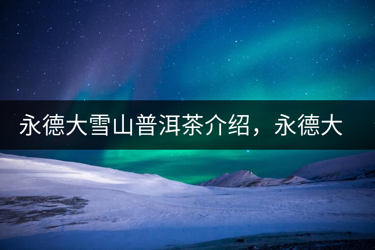 永德大雪山普洱茶介紹，永德大雪山古樹茶口感特點